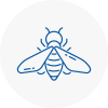Bee Nest Removal Looe