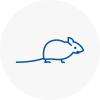 Mice Exterminators In Looe